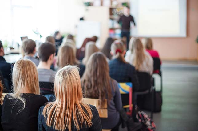 Understanding Learner Variability